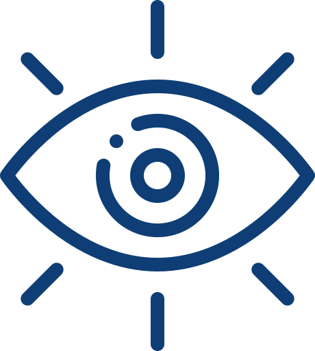 Vision Icon